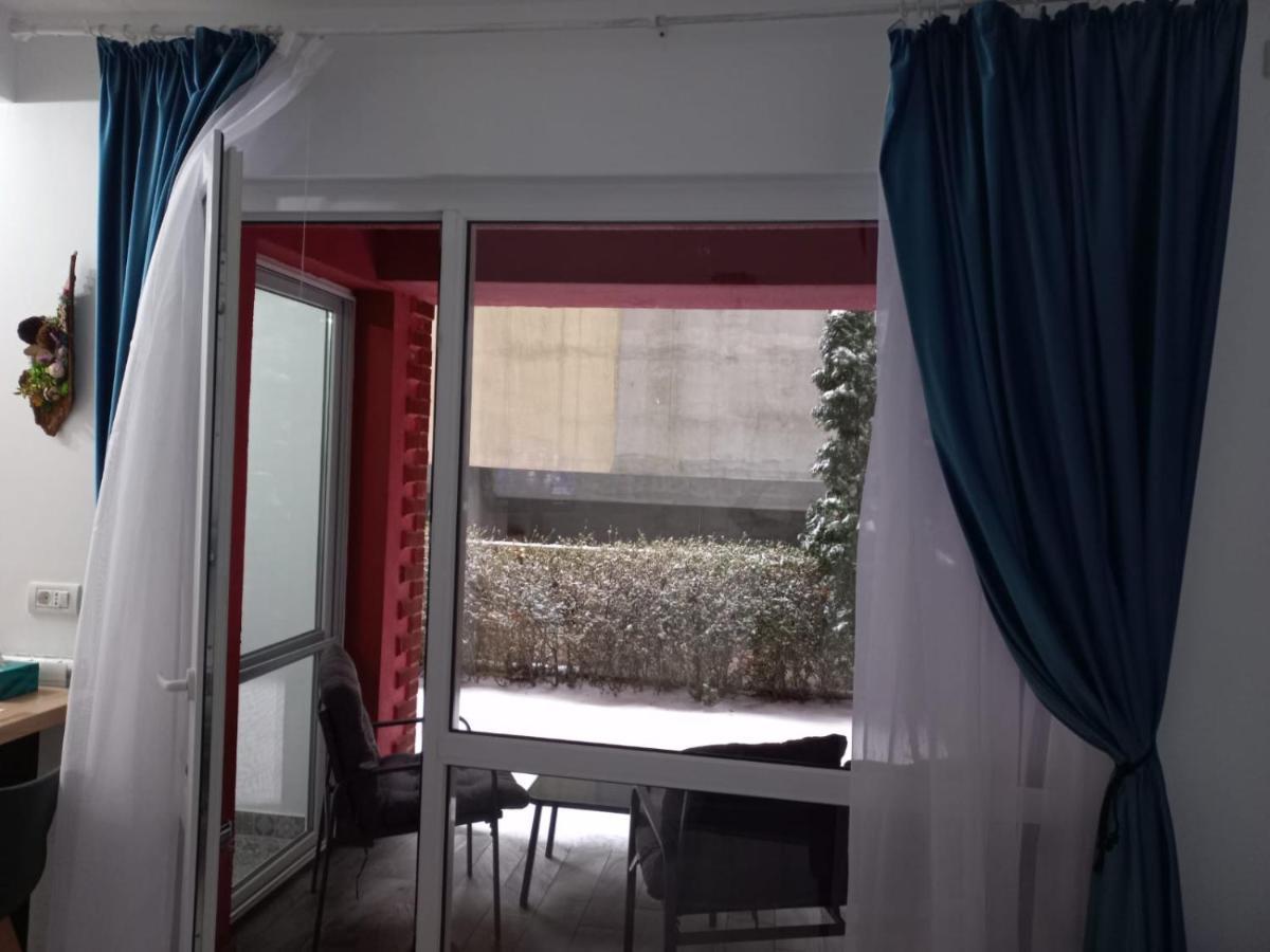 Belleview North Studio Apartament Sinaia